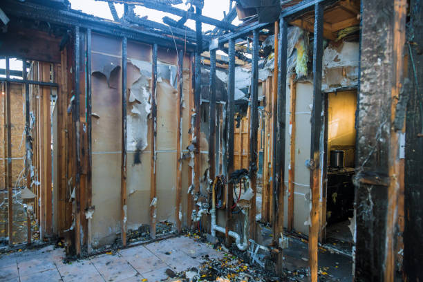Professional Smoke Damage Removal technician working in Richmond, VA